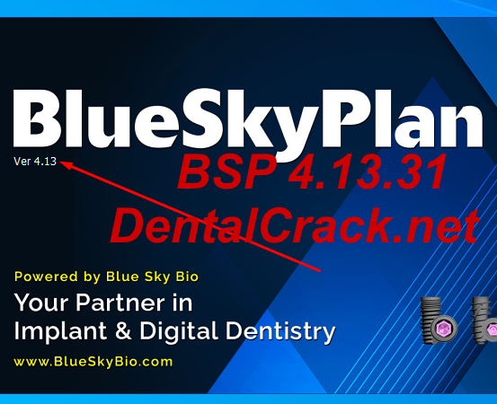 BlueSkyPlan 2024 FULL crack
